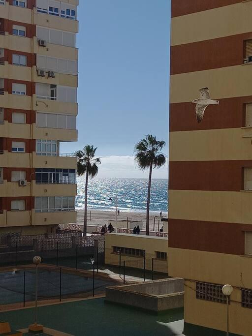 Alegrias De Cadiz By Gades Gestion Apartment Екстериор снимка